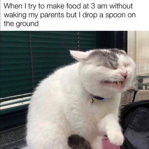 Meet your Posher, Khadija